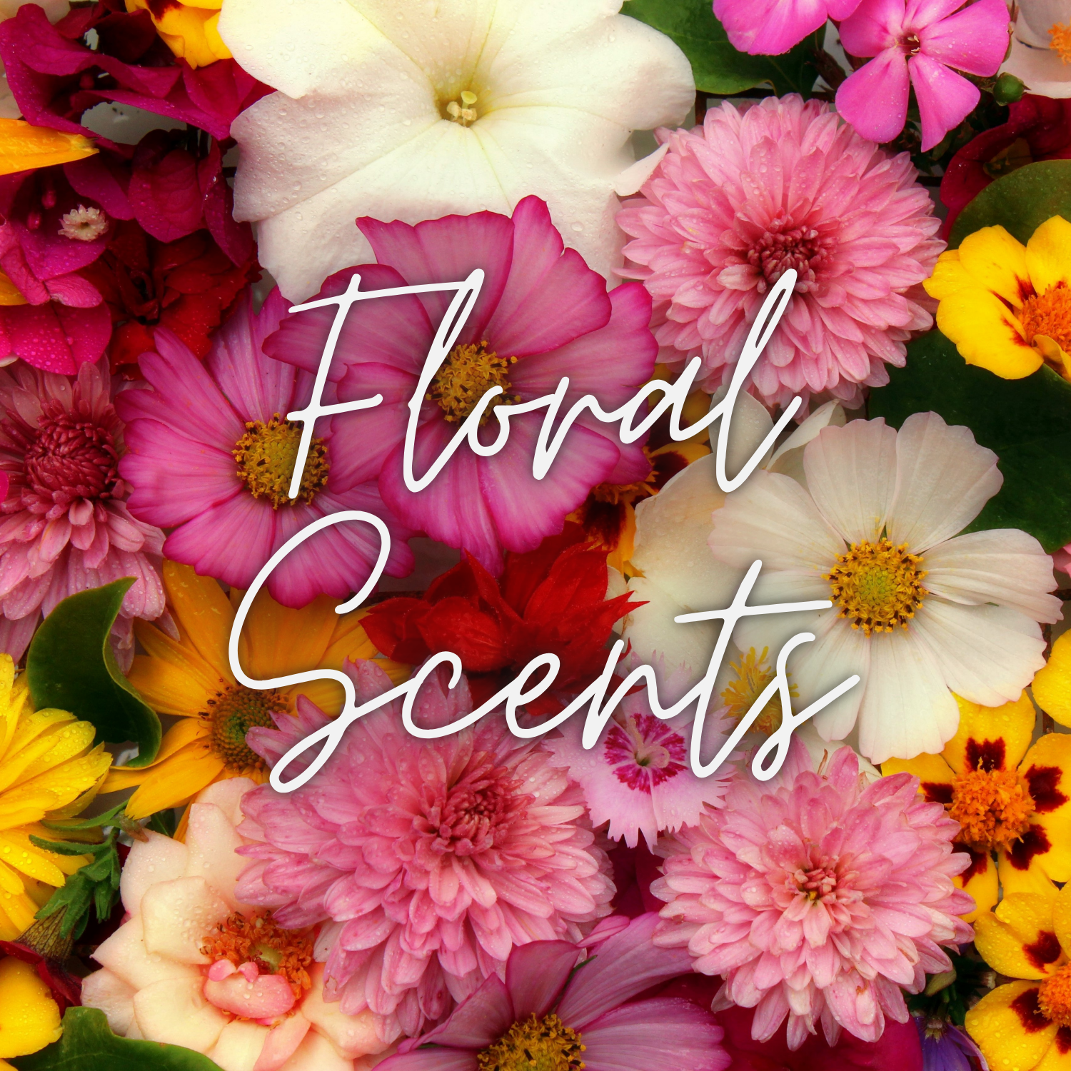 Floral Fusions