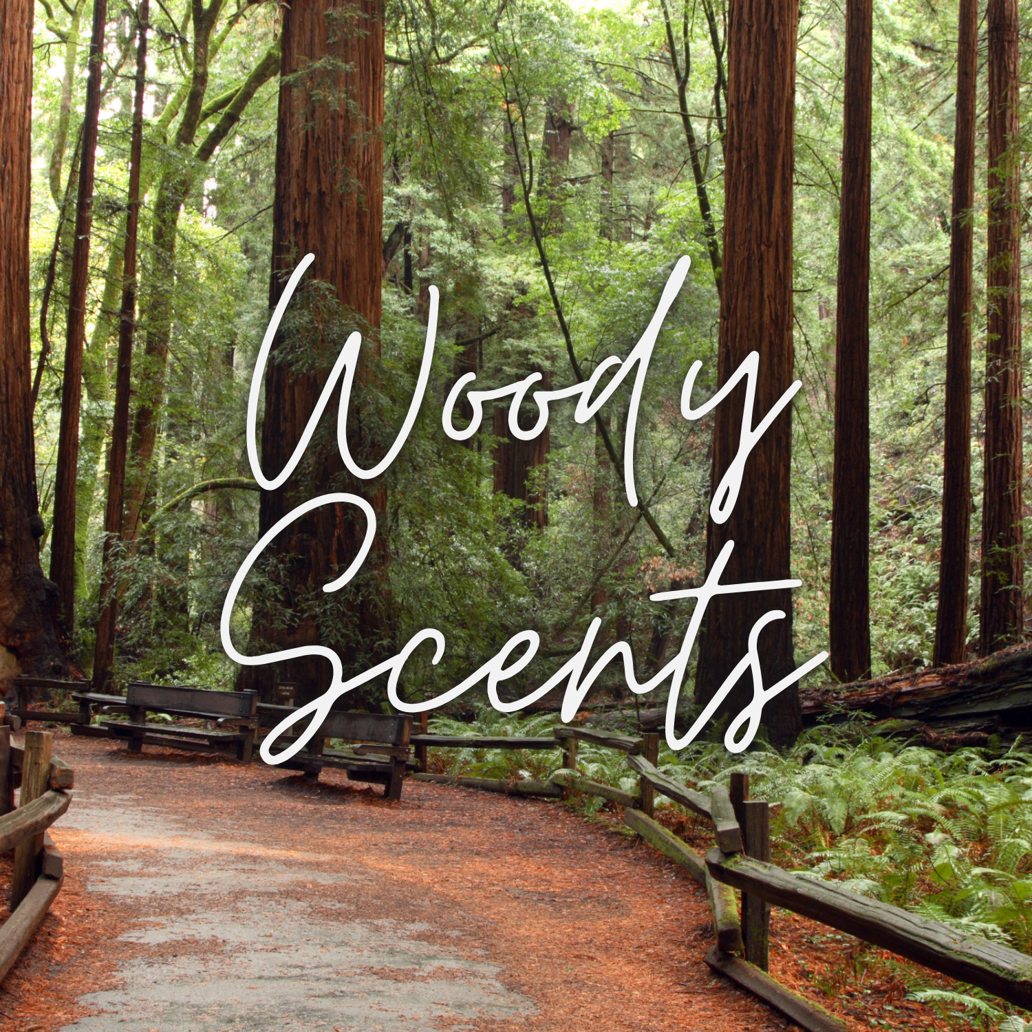 Woody Scents
