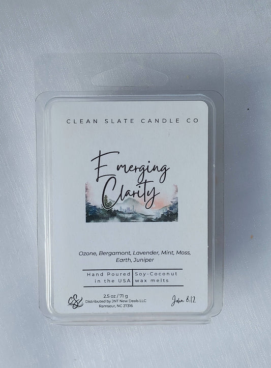 Emerging Clarity Wax Melt